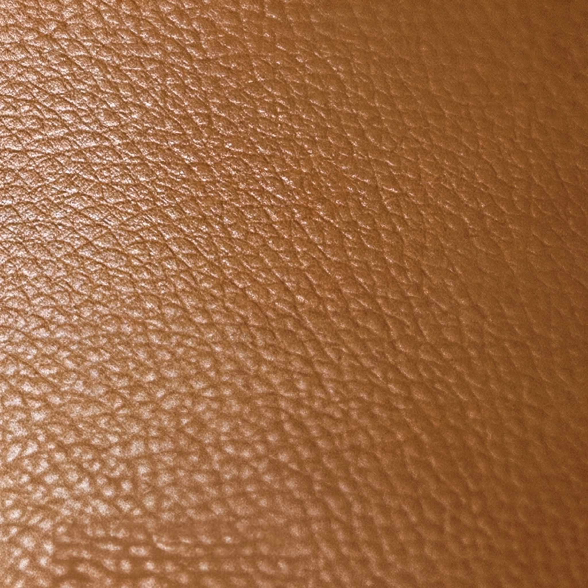 Натуральная кожа, Верблюжий